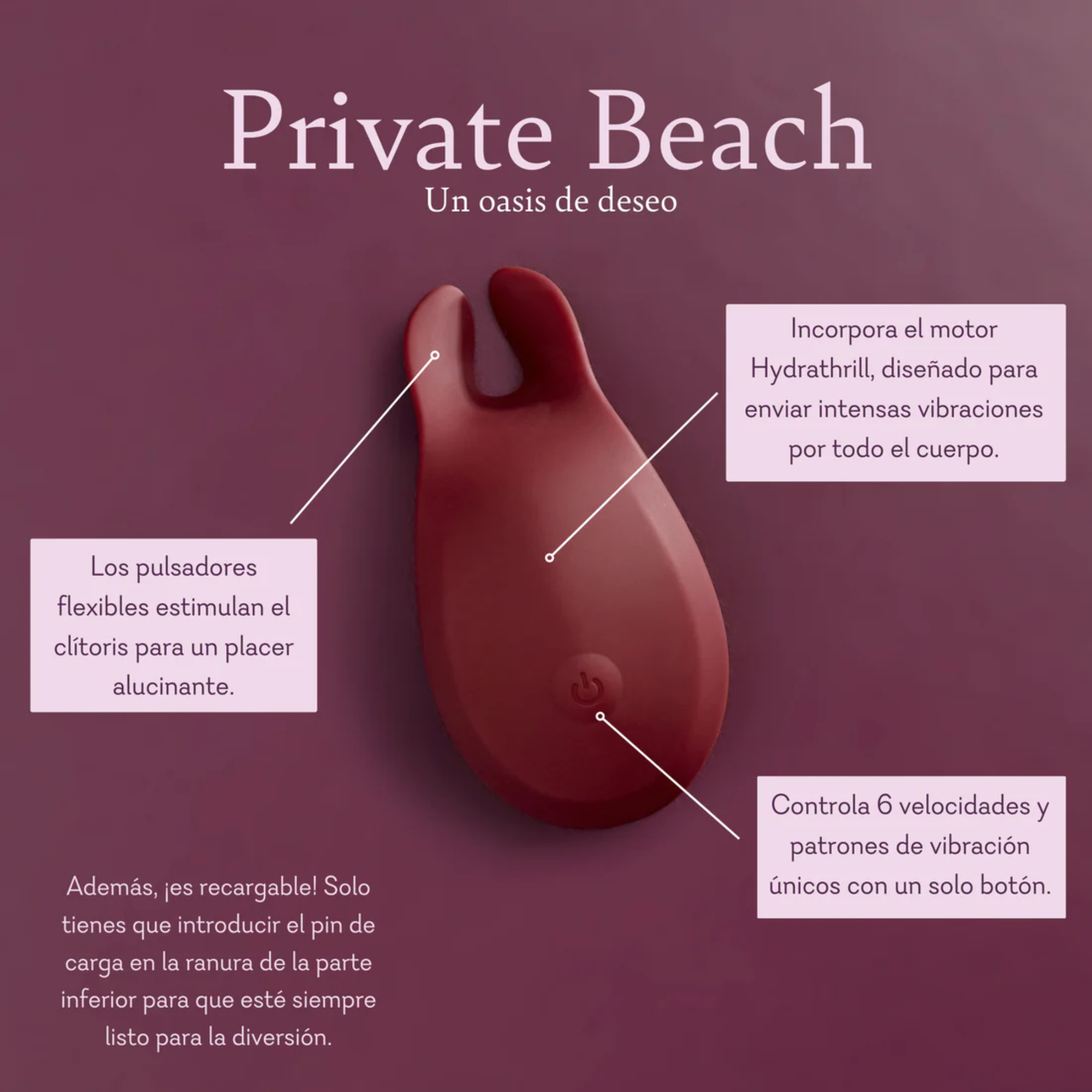 Private Beach (31) - Fiestas by Nana, LLC